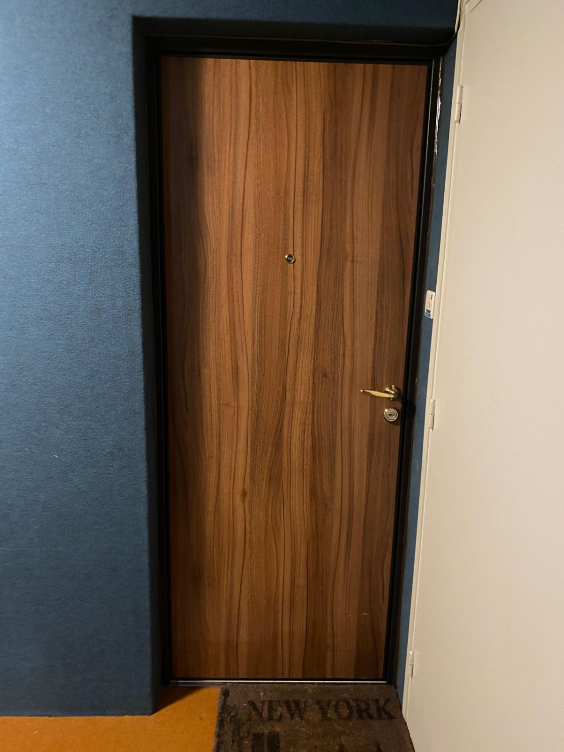 Porte blindée / palière - Conception sur mesure, certifications A2P et finitions personnalisées