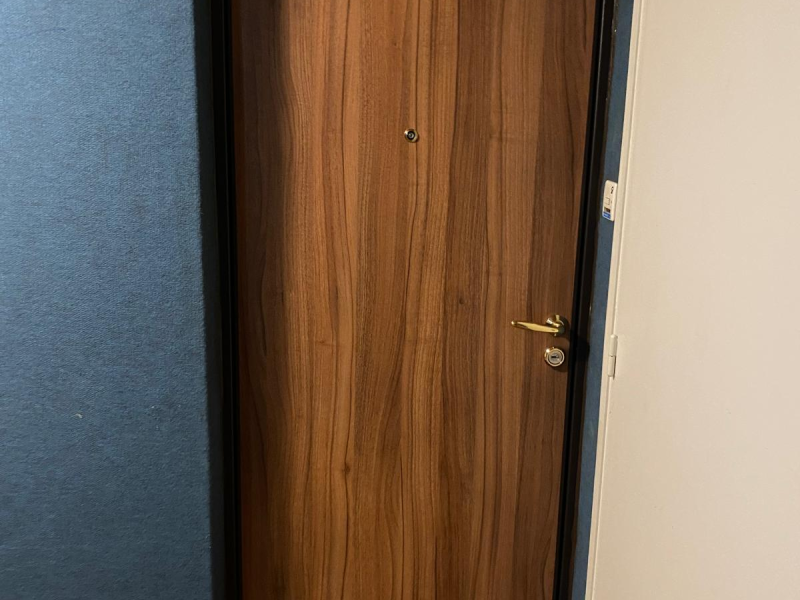 Porte d'entrée bois brun à grain vertical, poignée dorée et judas, couloir